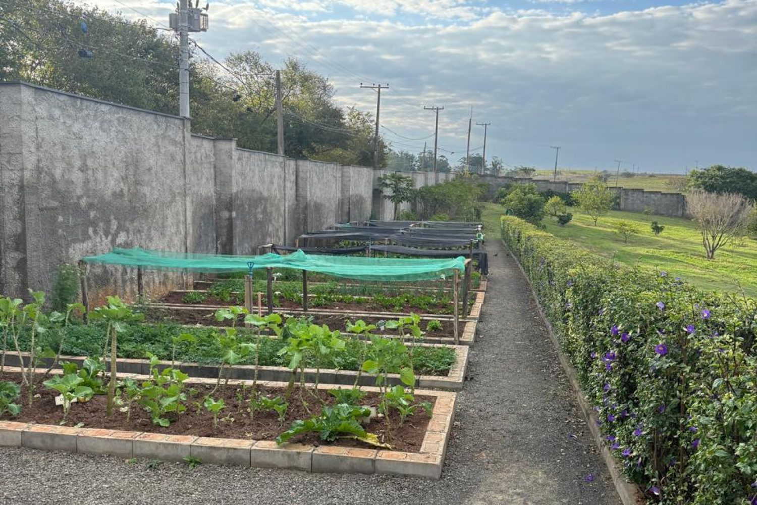 Horta