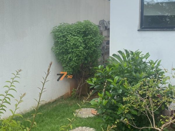 Jardim externo