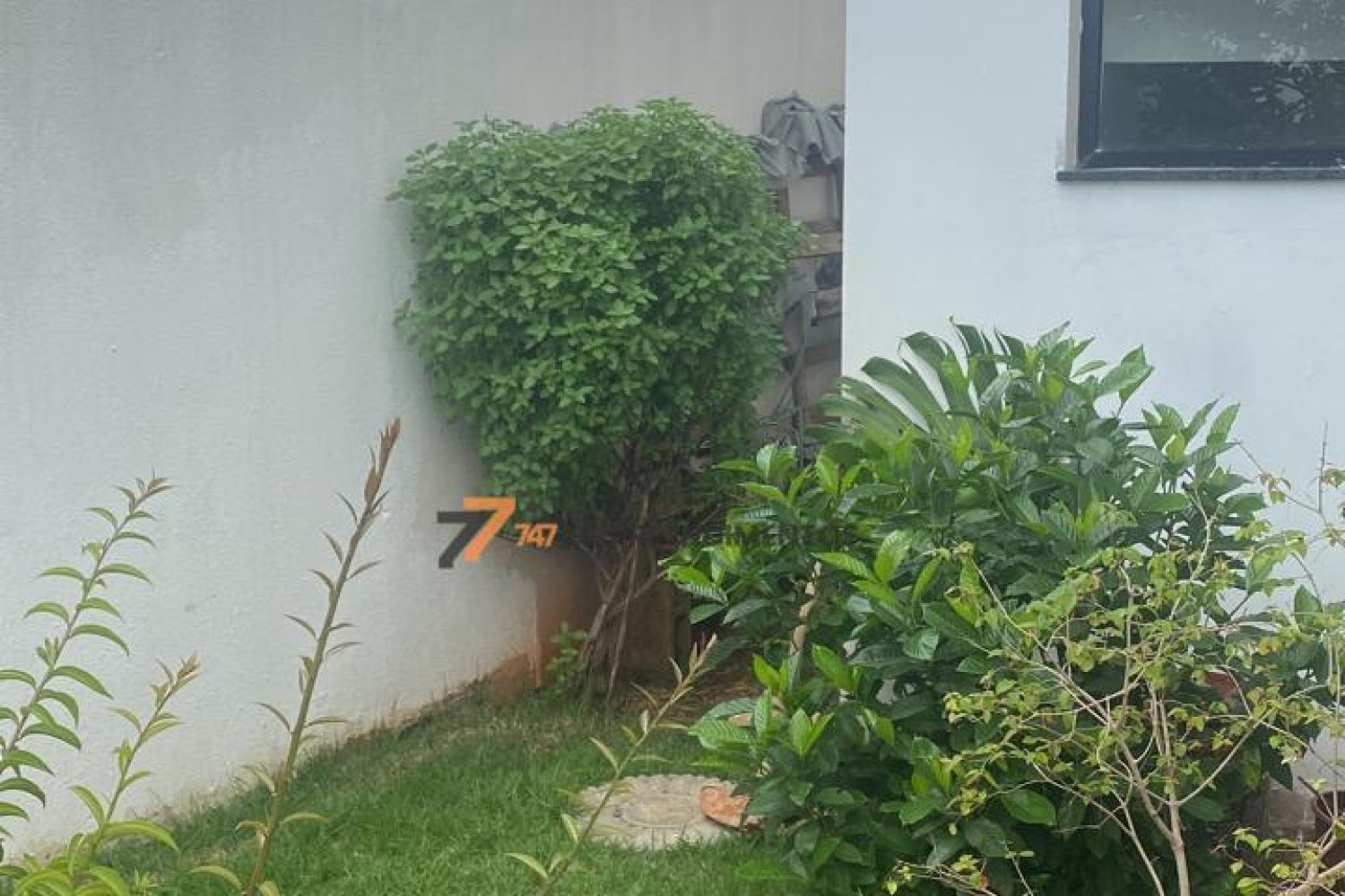 Jardim externo