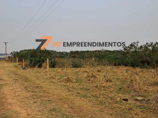 Topografia favorável