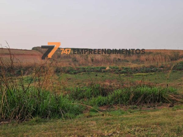 Topografia favorável