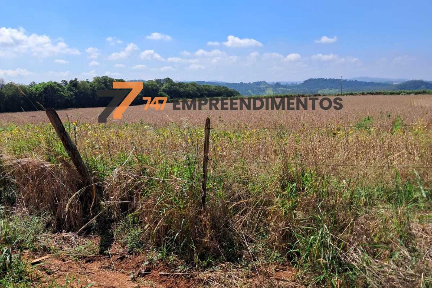 Topografia favorável